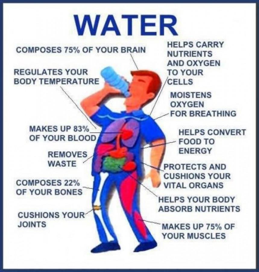 Staying Hydrated the Key to Staying Healthy