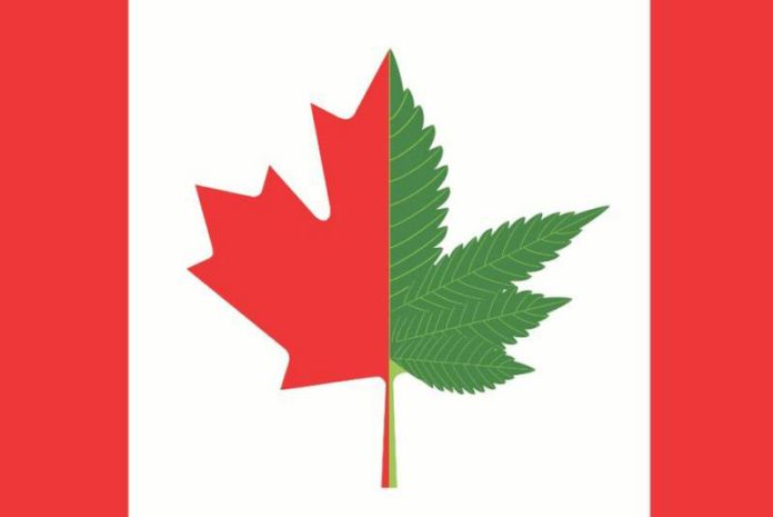Canada Legalizes Recreational Marijuana; Will U.S. Follow?