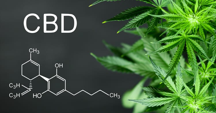 Cannabis-Based CBD Becoming A Part of Everyday Life