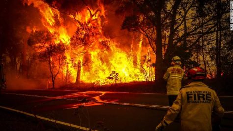 Australia’s bush fires will have long term health and environmental consequences