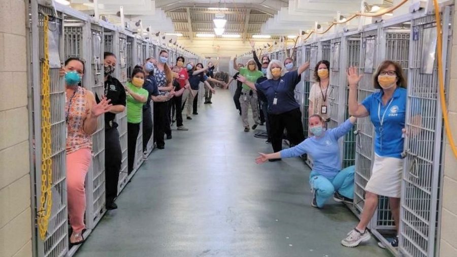 Volunteers at Palm Beach County Animal Care and Control celebrate in front of empty kennels after every dog was adopted.