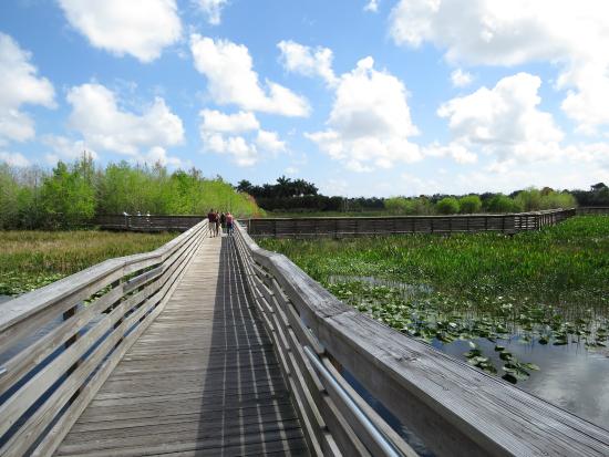 The boardwalk at Green Cay Nature Center makes for a perfect long nature walk.