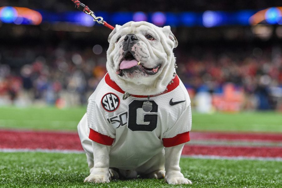 Georgia Bulldogs now have easiest path to college playoffs