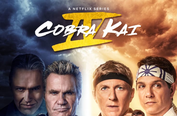 Cobra Kai season 4 should please the Netflixs series fanbase