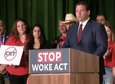 Florida governor Ron DeSantis speaks in support of the Stop WOKE Act.