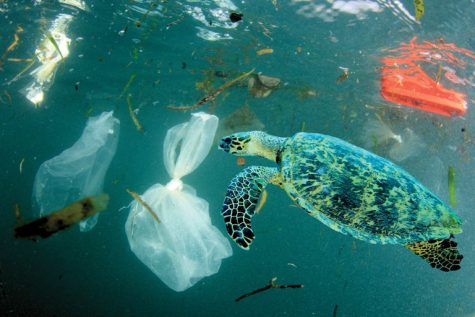 A recent Washington Post article reported that there are 21,000 pieces of plastic in the ocean for each person on Earth.” 